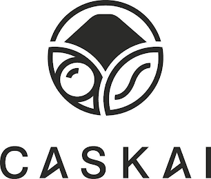 CASKAI logo