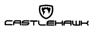 CASLTEHAWK logo