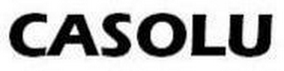CASOLU logo