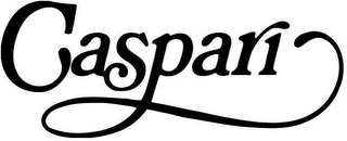 CASPARI logo