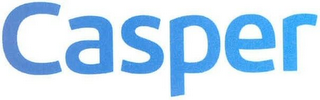 CASPER logo