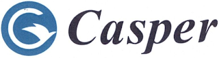 CASPER logo