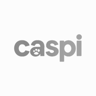 CASPI logo
