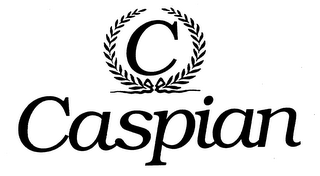 CASPIAN C logo