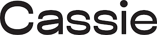 CASSIE logo