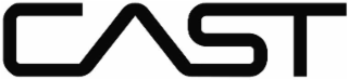 CAST logo