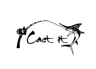 CAST IT logo