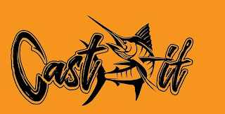 CAST IT logo