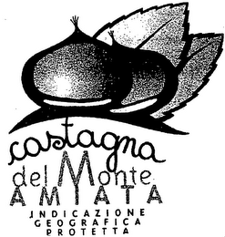 CASTAGNA DEL MONTE AMIATA logo