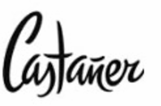 CASTAÑER logo