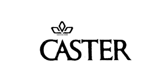 CASTER logo