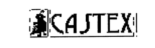 CASTEX logo