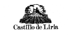 CASTILLO DE LIRIA logo
