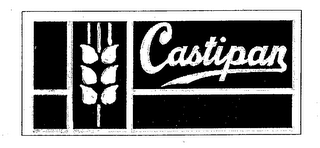 CASTIPAN logo