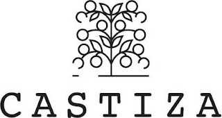 CASTIZA logo