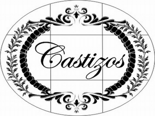 CASTIZOS logo