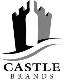 CASTLE BRANDS logo