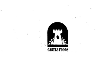 CASTLE FOODS logo