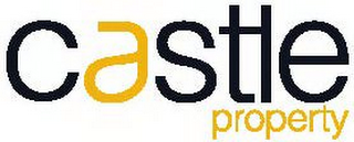 CASTLE PROPERTY logo