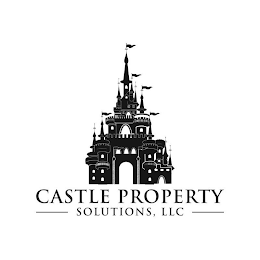 CASTLE PROPERTY SOLUTIONS, LLC logo