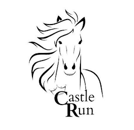 CASTLE RUN logo