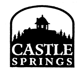 CASTLE SPRINGS logo