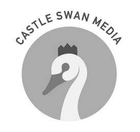 CASTLE SWAN MEDIA logo