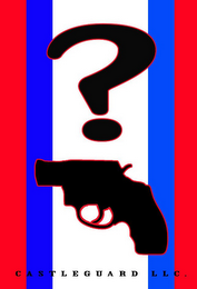 CASTLEGUARD LLC. logo