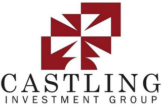 CASTLING INVESTMENT GROUP logo