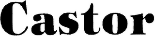 CASTOR logo