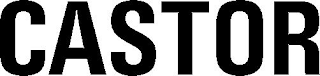 CASTOR logo