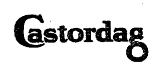 CASTORDAG logo