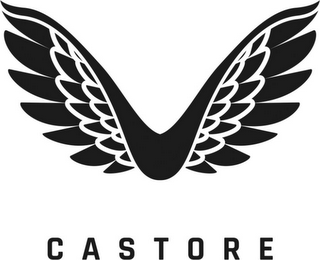 CASTORE logo