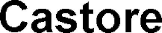 CASTORE logo