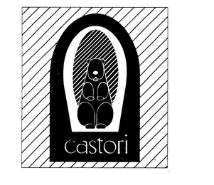 CASTORI logo
