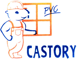 CASTORY logo