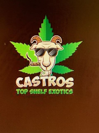 CASTROS TOP SHELF EXOTICS logo