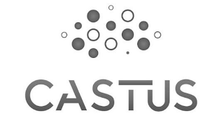 CASTUS logo