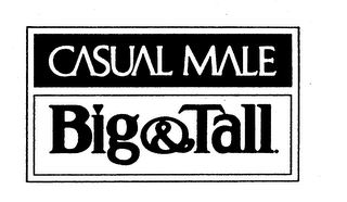 CASUAL MALE BIG & TALL logo