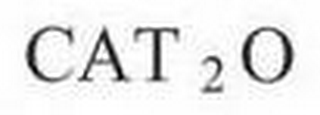 CAT 2 O logo