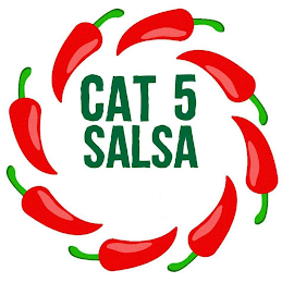 CAT 5 SALSA logo