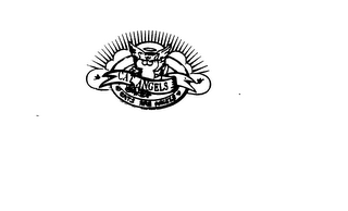 CAT ANGELS CATS ARE ANGELS logo