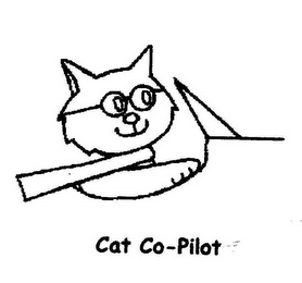 CAT CO-PILOT logo