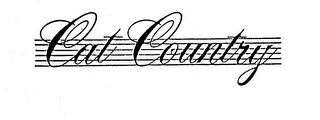 CAT COUNTRY logo