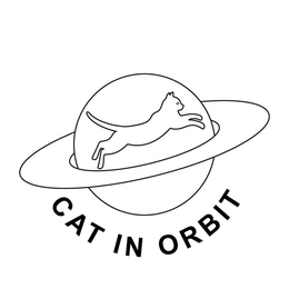 CAT IN ORBIT logo