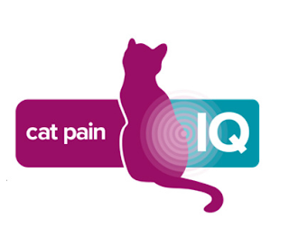 CAT PAIN IQ logo