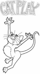 CAT PLAY logo