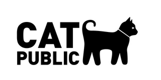 CAT PUBLIC logo