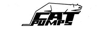 CAT PUMPS