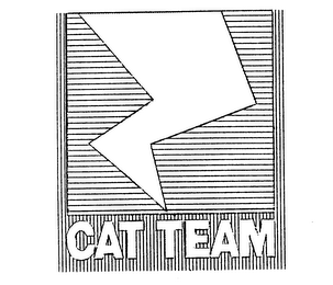 CAT TEAM logo
